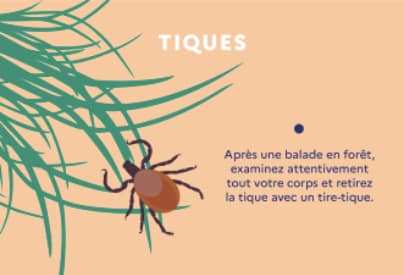 conseils tiques