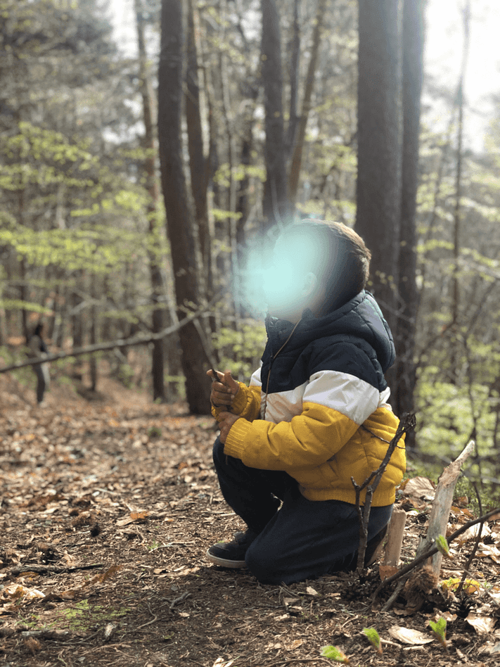 randonnée en forêt 10 astuces randonner avec petit